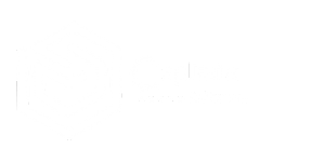 Capdata Logo